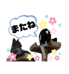 ココタンとチュロ（個別スタンプ：16）
