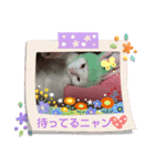 白猫さんの使えるスタンプ（個別スタンプ：8）