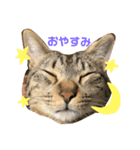 中原家の愉快な仲間たちvol.1（個別スタンプ：1）