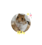 中原家の愉快な仲間たちvol.1（個別スタンプ：7）