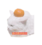 ネコのメルちゃんスタンプ（個別スタンプ：10）
