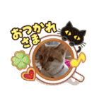 可愛いみるたんとルキちゃんスタンプ（個別スタンプ：2）
