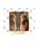 可愛いみるたんとルキちゃんスタンプ（個別スタンプ：3）