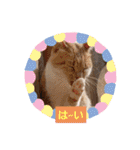 可愛いみるたんとルキちゃんスタンプ（個別スタンプ：7）