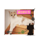 可愛いみるたんとルキちゃんスタンプ（個別スタンプ：9）