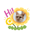 可愛いみるたんとルキちゃんスタンプ（個別スタンプ：14）