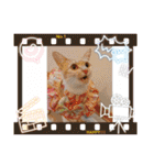 可愛いみるたんとルキちゃんスタンプ（個別スタンプ：24）