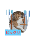 可愛いみるたんとルキちゃんスタンプ（個別スタンプ：28）