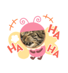 我が家のにゃんず3（個別スタンプ：3）