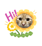 我が家のにゃんず3（個別スタンプ：5）