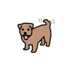 犬のノーフォークテリア（個別スタンプ：1）