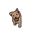 犬のノーフォークテリア（個別スタンプ：2）
