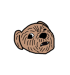 犬のノーフォークテリア（個別スタンプ：4）