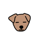 犬のノーフォークテリア（個別スタンプ：5）