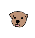 犬のノーフォークテリア（個別スタンプ：6）