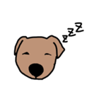 犬のノーフォークテリア（個別スタンプ：7）