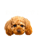 わんぱくチャイ君（個別スタンプ：6）