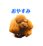 わんぱくチャイ君（個別スタンプ：8）