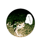 自然の生き物（個別スタンプ：1）