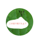 自然の生き物（個別スタンプ：4）