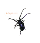 自然の生き物（個別スタンプ：6）