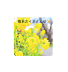 レディと一緒（個別スタンプ：8）