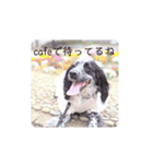 レディと一緒（個別スタンプ：10）