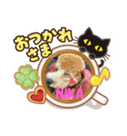 わんず♡Ryu（個別スタンプ：15）