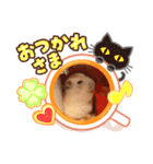 ハムスターの日常69（個別スタンプ：6）