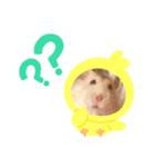 ハムスターの日常69（個別スタンプ：9）