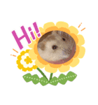 ハムスターの日常69（個別スタンプ：10）
