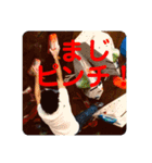 クライマーの愉快な仲間達。（個別スタンプ：9）