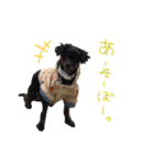 すももととかっち（個別スタンプ：4）
