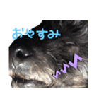 すももととかっち（個別スタンプ：5）