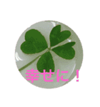 Chinaport（個別スタンプ：13）