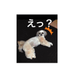Chinaport（個別スタンプ：14）