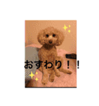 Chinaport（個別スタンプ：15）