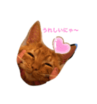 のうてんき日和だにゃ〜（個別スタンプ：6）