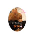 のうてんき日和だにゃ〜（個別スタンプ：7）