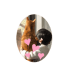のうてんき日和だにゃ〜（個別スタンプ：12）