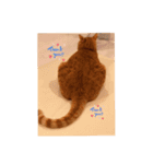 のうてんき日和だにゃ〜（個別スタンプ：16）