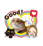 Ginger Tabby Cat Brothers 5（個別スタンプ：24）