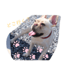 おしゃべりしよう（個別スタンプ：4）