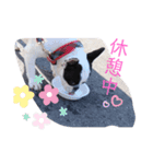 おしゃべりしよう（個別スタンプ：5）