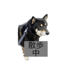 あずさんの日常（個別スタンプ：7）