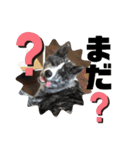 秋田犬だいちゃん1（個別スタンプ：7）