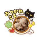 アニマルリアルアクション（個別スタンプ：1）