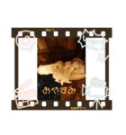 アニマルリアルアクション（個別スタンプ：2）