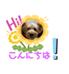 よろしく！サムです‼️（個別スタンプ：1）
