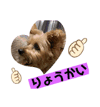 よろしく！サムです‼️（個別スタンプ：4）